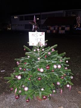 PRAZNIČNA OBČINA ŠKOFLJICA: lokalne skupnosti so okrasile smrečice v drevoredu pri zunanjem igrišču OŠ Škofljica